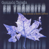 Gonzalo Tejada - En Transito