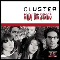 Cluster - Enjoy The Silence