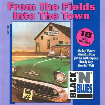 Various Artists - From the Fields Into The Town - 18 Big Tracks