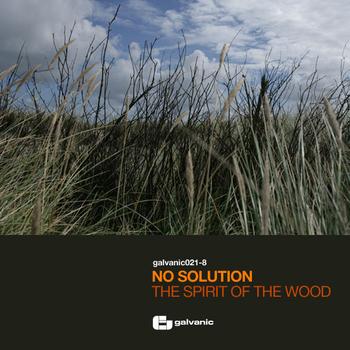 No Solution - The Spirit Of The Wood