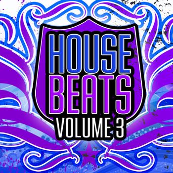 Various Artists - House Beats, Vol. 3