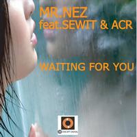 Mr Nez - Waiting for You (Davies Dub Mix)