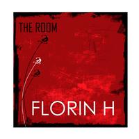 Florin H - The Room