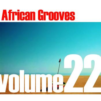 Various Artists - African Grooves Vol.22
