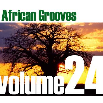 Various Artists - African Grooves Vol.24