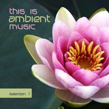 Various Artists - This is ambient music – selection 1