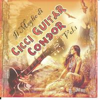 Cicci Guitar Condor - Il meglio di cicci guitar condor vol. 1