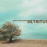 Detritus - Things Gone Wrong