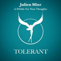 Julien Mier - A Pebble For Your Thoughts