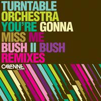Turntable Orchestra - You’re Gonna Miss Me  (Bush II Bush Remixes)