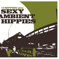 17 Hippies - 17 Hippies Play Sexy Ambient Hippies