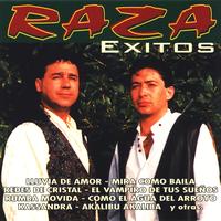 Raza - Raza. Éxitos