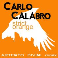 Carlo Calabro - Strict Orange