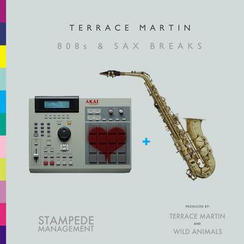 Terrace Martin - 808s & Sax Breaks