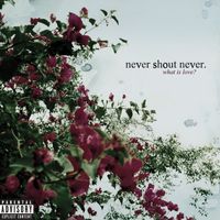 Never Shout Never - What Is Love? (Explicit)