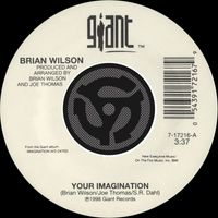 Brian Wilson - Your Imagination / Your Imagination (A Cappella) (45 Version)