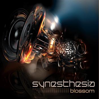 Synesthesia - BLOSSOM