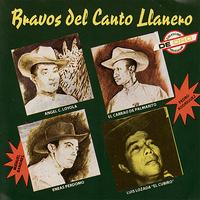 Various Artists - Bravos Del Canto Llanero
