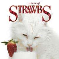 Strawbs - A Taste Of Strawbs