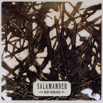 Salamander - Bent Hemlock
