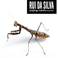 Rui Da Silva - Praying Mantis