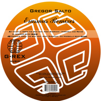 Gregor Salto - Erasmus Remixes