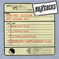 Buzzcocks - John Peel Session [18th October 1978] (18th October 1978)