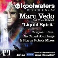Marc Vedo feat. Tricia Kelshall - Liquid Spirit