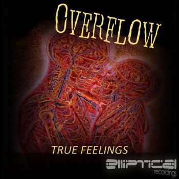 Overflow - True Feelings