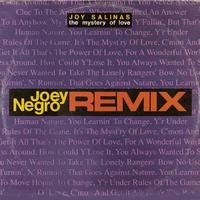 Joy Salinas - The mystery of love (Joey Negro Remix)