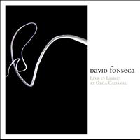 David Fonseca - Live in Lisbon