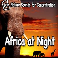 Study Music - Nature Sounds for Concentration – Africa at Night