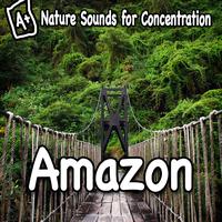 Study Music - Nature Sounds for Concentration - Amazon
