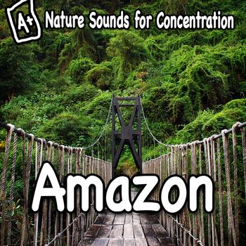 Study Music - Nature Sounds for Concentration - Amazon