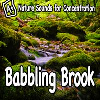 Study Music - Nature Sounds for Concentration – Babbling Brook