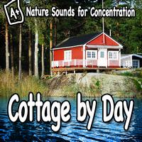 Study Music - Nature Sounds for Concentration – Cottage by Day