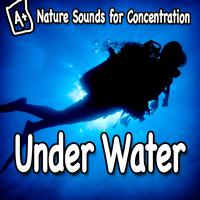Study Music - Nature Sounds for Concentration – Under Water