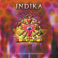Indika - A Different Perspective (Vinyl)