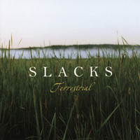 Slacks - Terrestrial