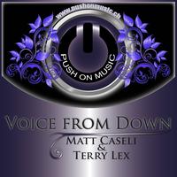 Matt Caseli, Terry Lex - Voice from Down