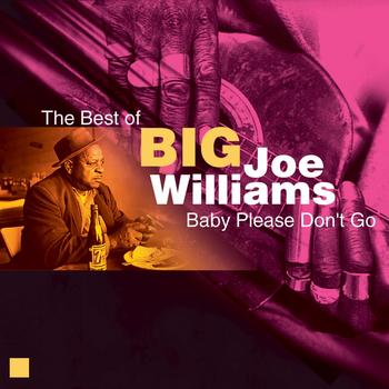 Big Joe Williams - Baby Please Don't Go (The Best of)