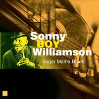 John Lee Williamson - Sugar Mama Blues (Early Masterpieces)
