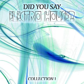 Various Artists - Did You Say Electro House?, Vol. 1