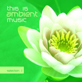 Various Artists - This Is Ambient Music, Vol. 2