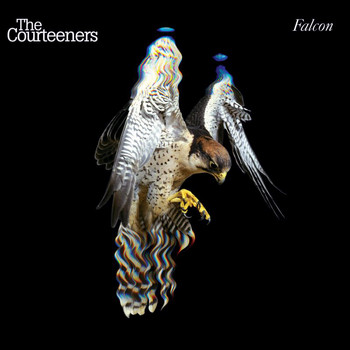 The Courteeners - Falcon