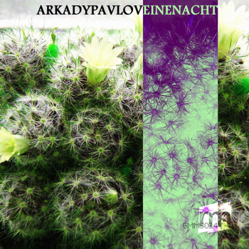 Arkady Pavlov - Eine Nacht