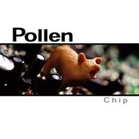 Pollen - Chip (Explicit)