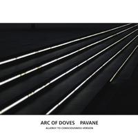 Arc Of Doves - Pavane (Allergy to Consciousness Version)