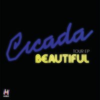 Cicada - Beautiful
