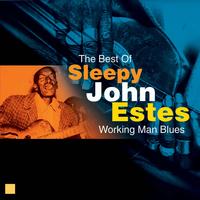Sleepy John Estes - Working Man Blues (The Best Of)